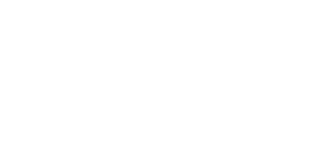 BSI ISO 9001